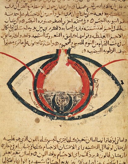 Anatomy of the Eye, from a book on eye diseases von Al-Mutadibi