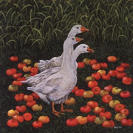 Apple-Geese/Grassapples (composite) von Ditz