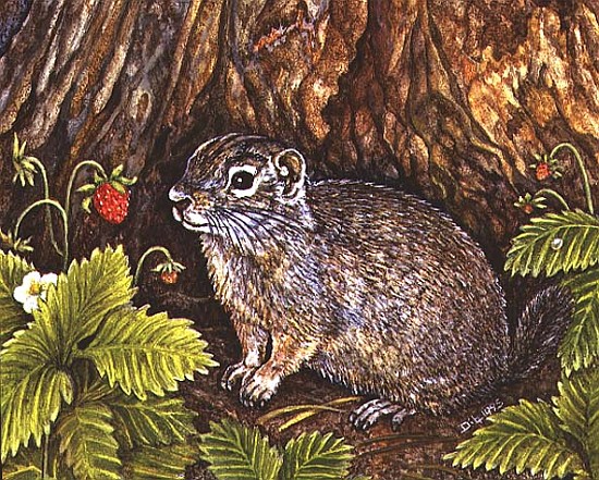 Eagle Creek, Wild Strawberry, Ground Squirrel, 1995 (acrylic on panel)  von Ditz