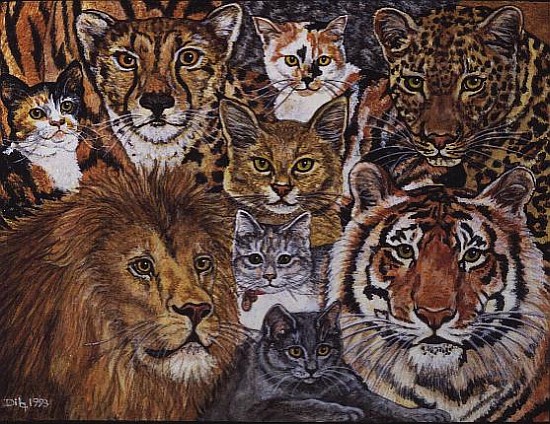 Ileana''s Semi-Wild Cat-Spread-Patch, 1993  von Ditz