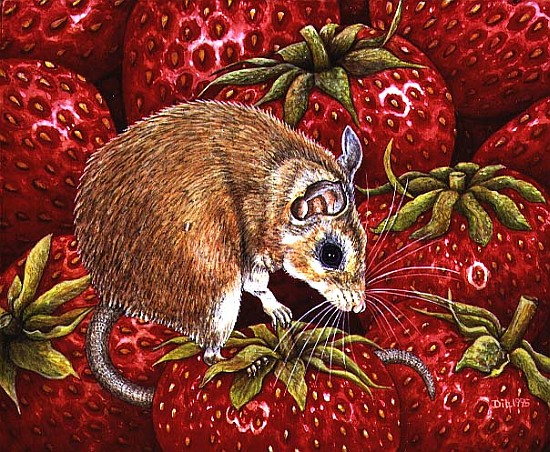 Strawberry-Mouse, 1995 (acrylic on panel)  von Ditz