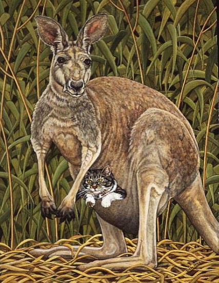 The Kangaroo-Cat  von Ditz