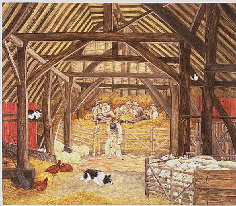The Shearing Barn  von Ditz