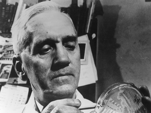 Alexander Fleming (1881-1955) c.1945 (b/w photo)  von English Photographer
