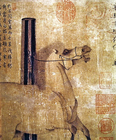 Night-Shining White, Tang dynasty (618-907) c.750 (ink on paper) von Han Gan