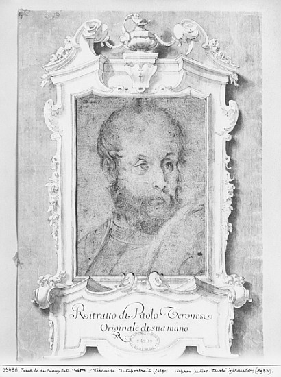 Portrait of a man presumed to be Veronese (Paolo Caliari) (pierre noire on bluish paper) von Italian School