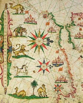 The North African Coast, from a nautical atlas, 1651(detail from 330919)