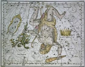 Hercules, from 'A Celestial Atlas', pub. in 1822 (coloured engraving) 19th