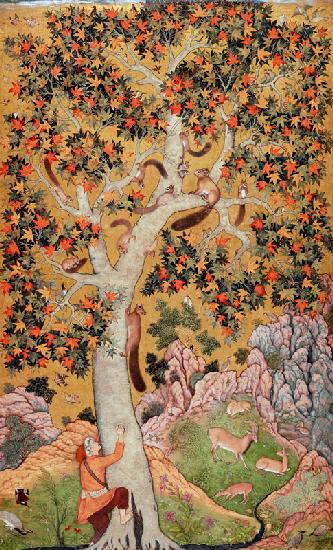 Johnson Album I, No.30 Squirrels on a plane tree, Mughal c.1610