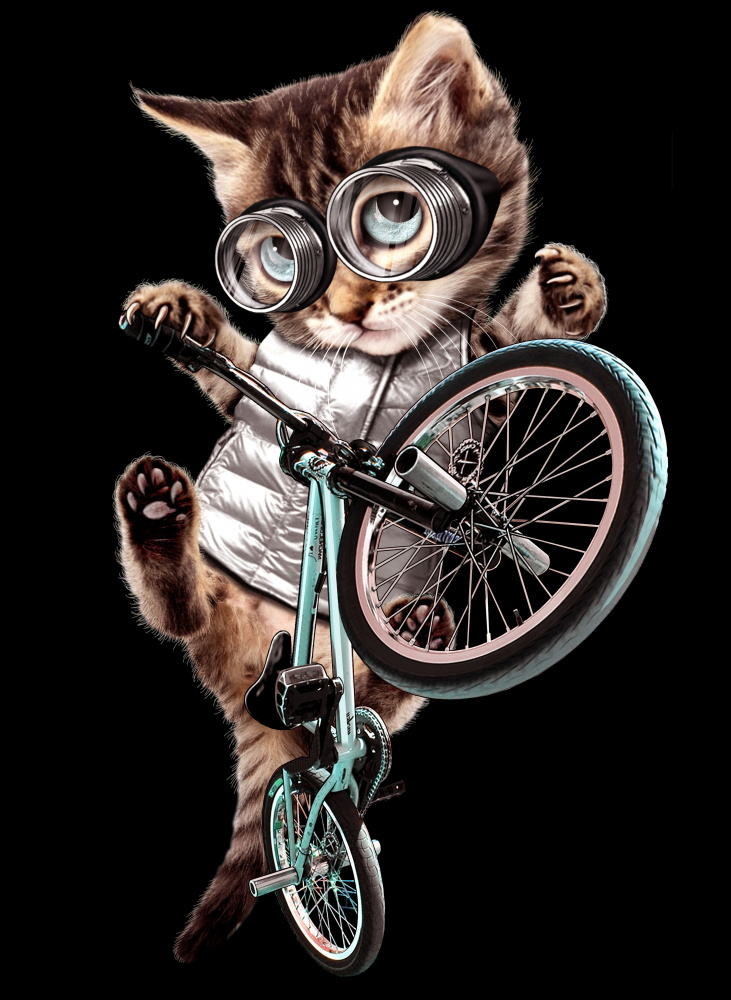 BMX-Katze von Adam Lawless