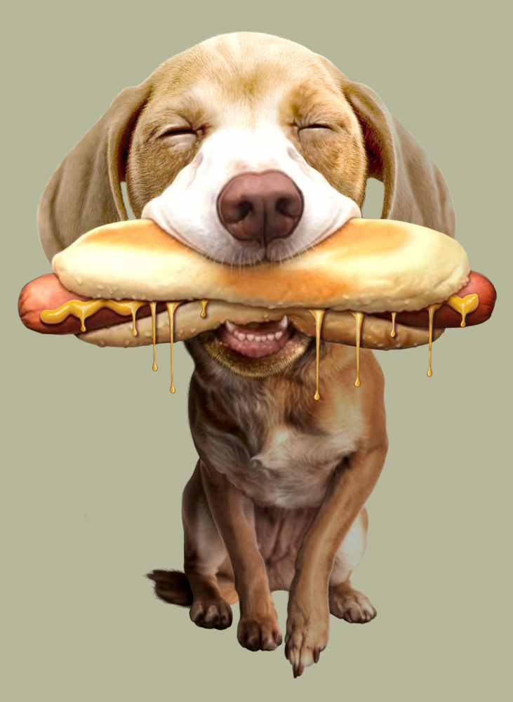 Hotdog von Adam Lawless