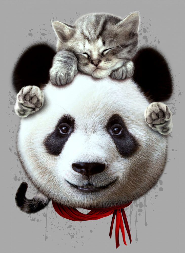 Katze auf Pandabär von Adam Lawless
