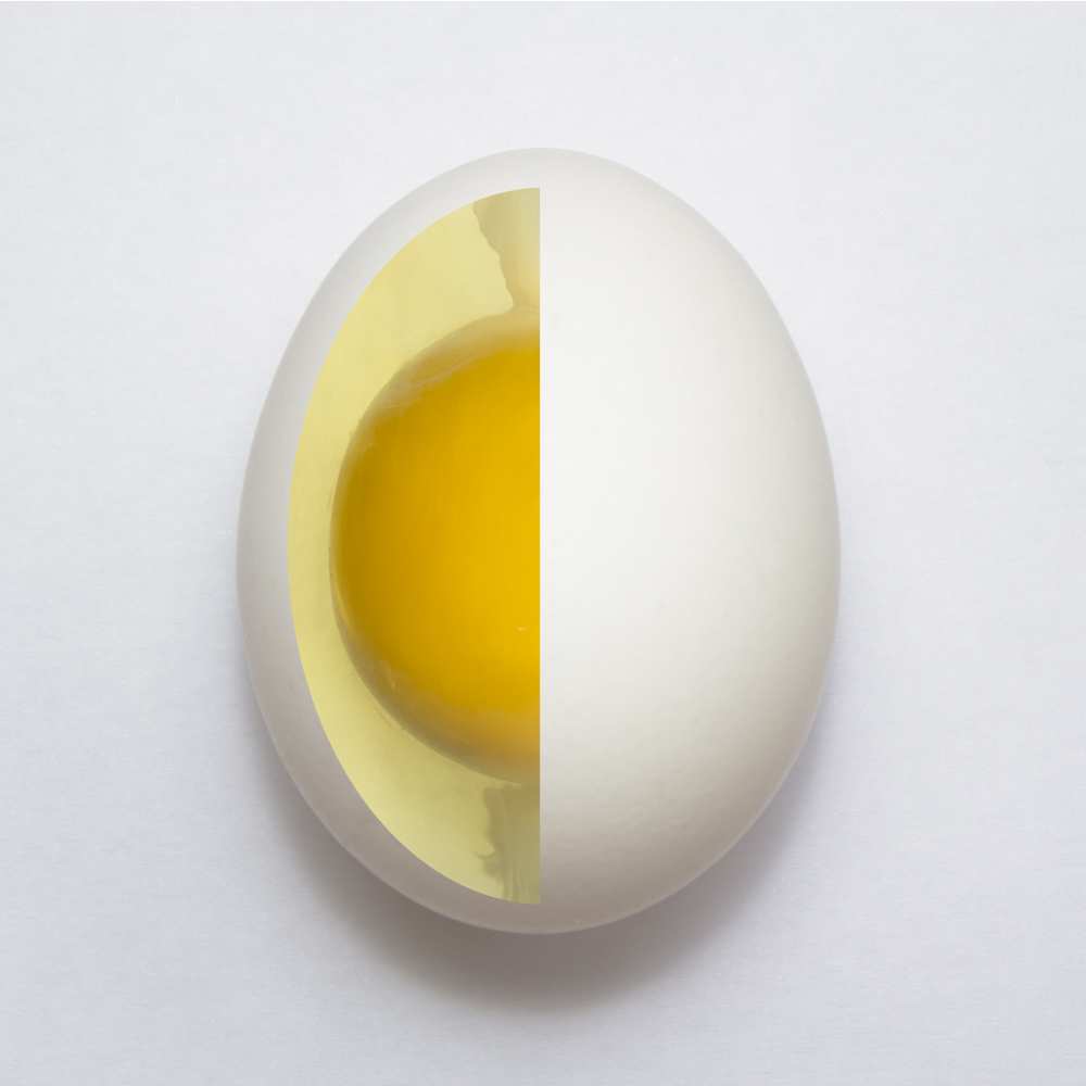 Inner Egg von Adelino Alves