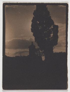 Silhouette von Baum und Turm im Abendhimmel