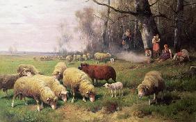 The Shepherd''s Family