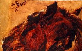 Head of a Dead Horse 1848