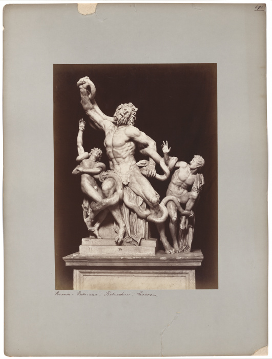 Der Laokoon im Vatikanischen Museum von Adolphe Braun
