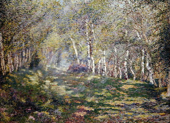 Silver Birches (oil on canvas) von Adriaan Josef Heymans