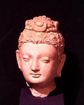 Head of a Buddha, Greco-Buddhist style, from Hadda from Hadda