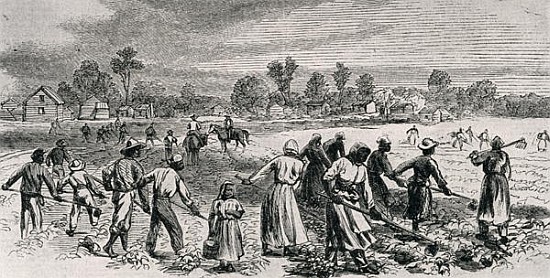 Labour in the Cotton Fields, Hoeing the Young Plants, illustration from ''Harper''s Weekly'', 1867,  von (after) Alfred R. Waud