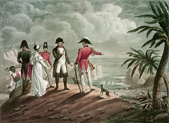 Bonaparte on St. Helena (steel engraving) von (after) Francois Martinet