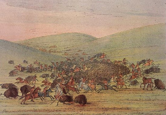 Minatarees attacking buffalo on horseback von (after) George Catlin