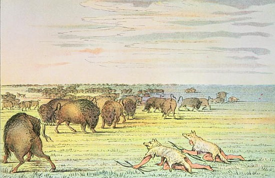 Stalking buffalo von (after) George Catlin