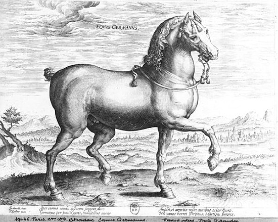 Equus Germanus von (after) Jan van der (Joannes Stradanus) Straet