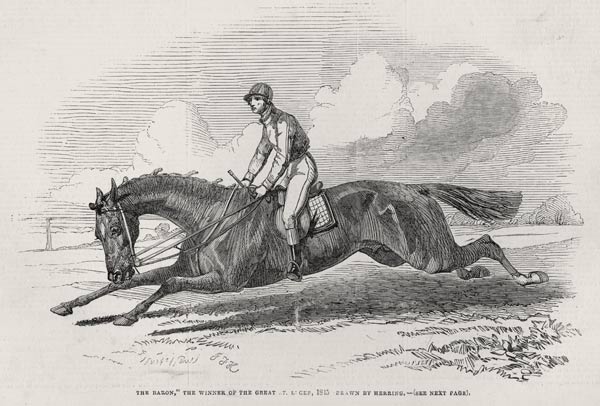 ''The Baron'', the winner of the Great St. Leger, from ''The Illustrated London News'', 27th Septemb von (after) John Frederick Herring Snr