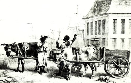 Boys with bullock carts, from ''Voyage a Surinam'' 1834 von (after) Pierre J. Benoit