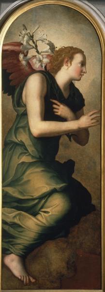 A.Bronzino / Angel of Annunciation / C16