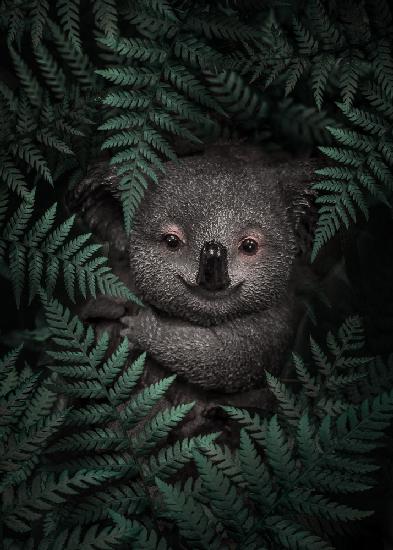 Niedlicher Baby-Koala