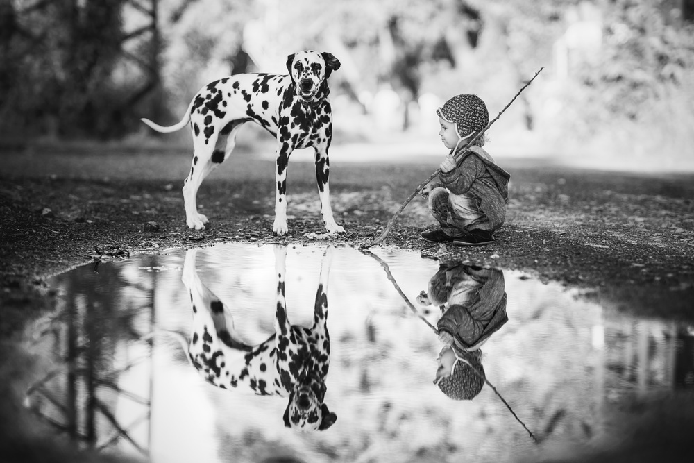 Kleiner Junge und Hund im Park von Alan Hiller
