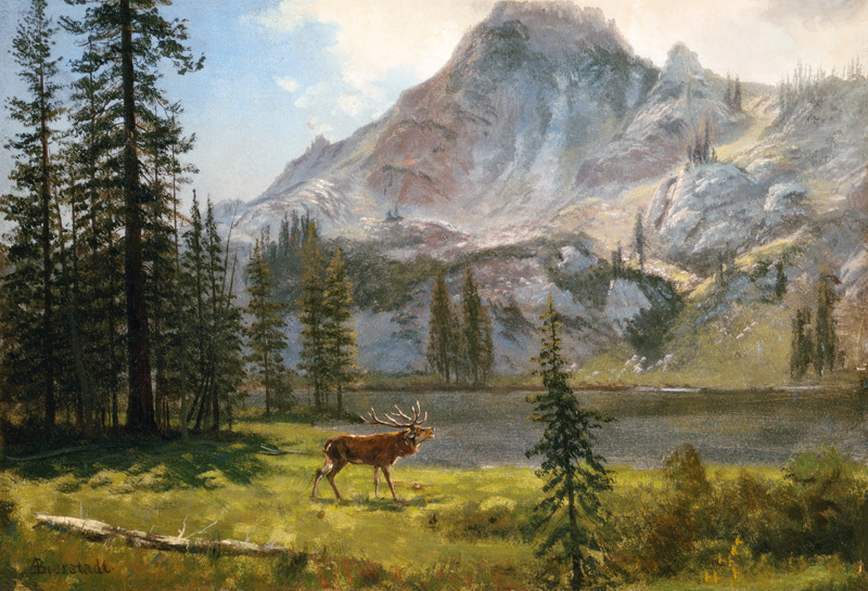 Call of the Wild von Albert Bierstadt