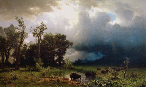Der drohende Sturm. Der letzte Bueffel. von Albert Bierstadt