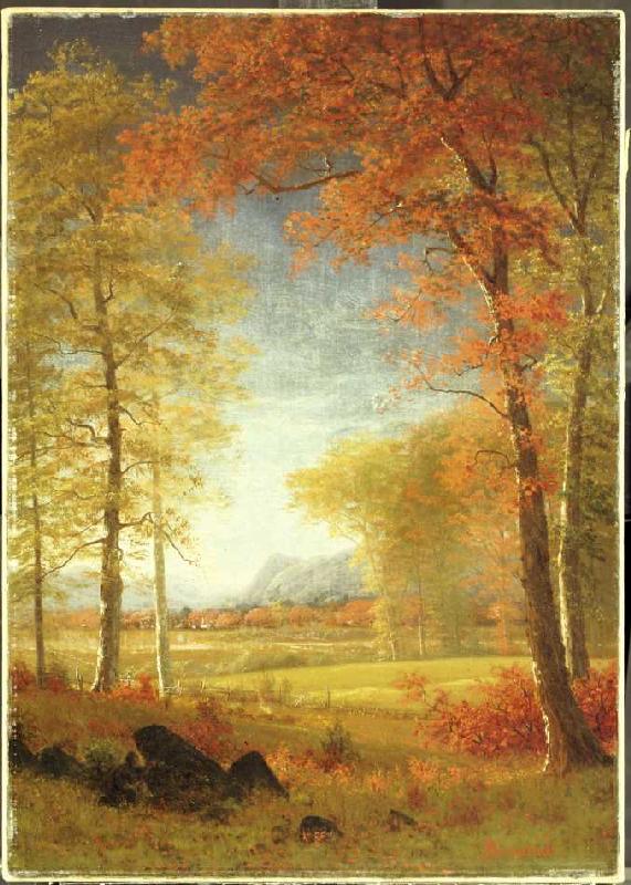 Herbst in Oneida County, New York. von Albert Bierstadt