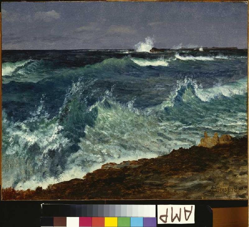 Seestück. von Albert Bierstadt