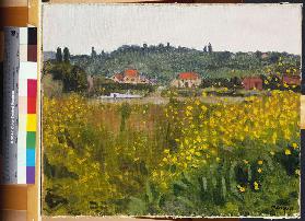 Gelbe Blumenwiese in Villenes (Les Fleurs Jaunes a Villenes) 1910