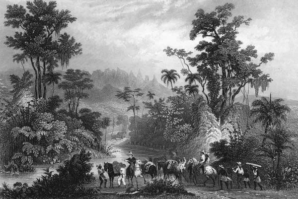 Jagd im Urwalde in Brasilien von Albert Henry Payne
