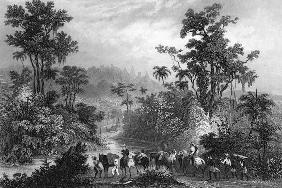 Jagd im Urwalde in Brasilien 1847