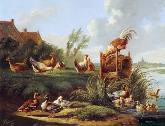 Ducks and Fowl on a Riverbank von Albertus Verhoesen