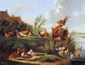 Ducks and Fowl on a Riverbank