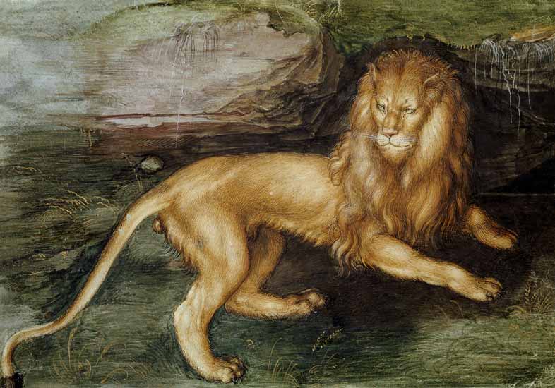Löwe von Albrecht Dürer