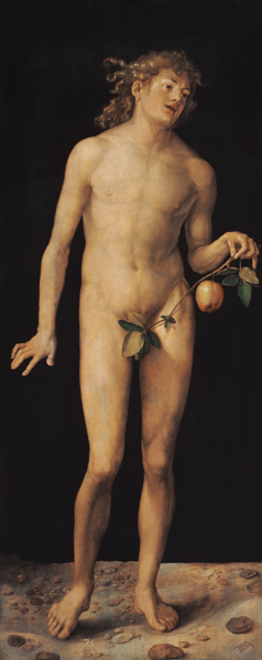 Adam von Albrecht Dürer