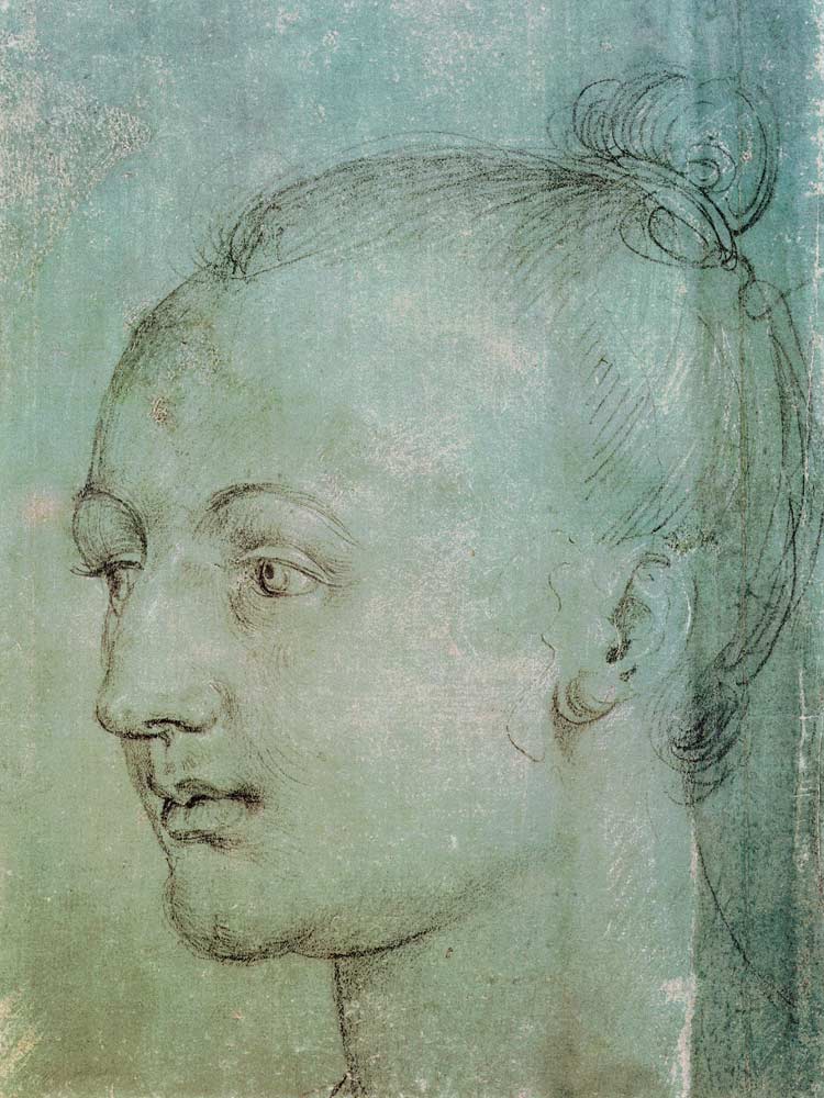 Head of a Young Woman von Albrecht Dürer