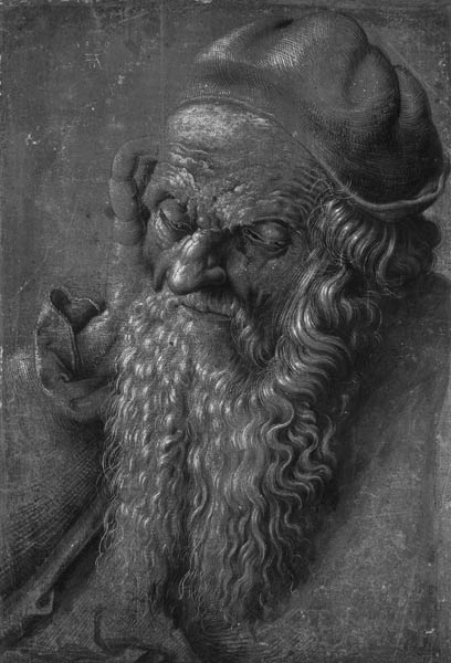 Man Aged 93 (brush & ink on paper) von Albrecht Dürer
