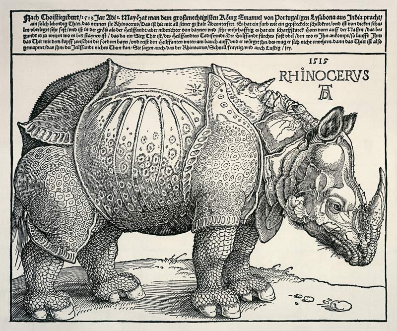 Nashorn - Variation mit dem Text von Albrecht Dürer