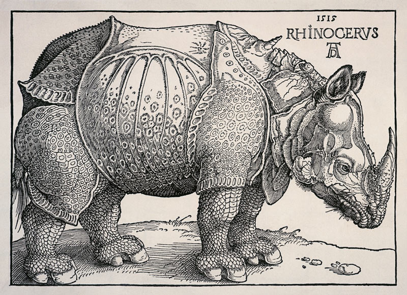 Nashorn - Variation ohne Text von Albrecht Dürer