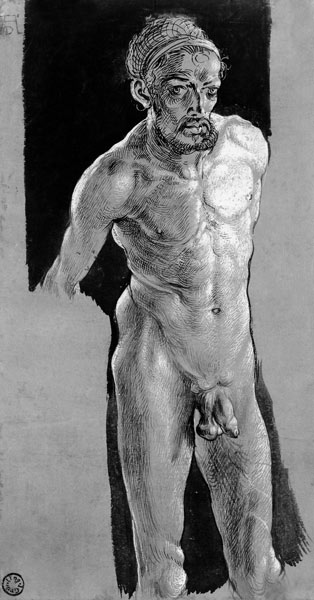Albrecht Dürer / Nude Self-Portrait /C16 von Albrecht Dürer