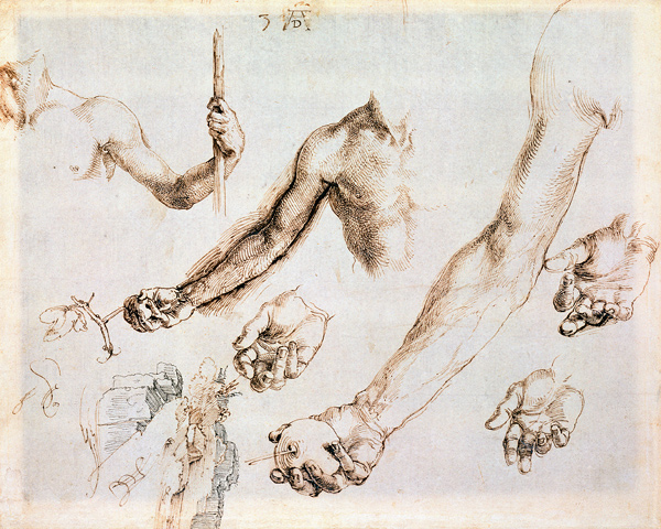 Study of male hands and arms (pen) von Albrecht Dürer